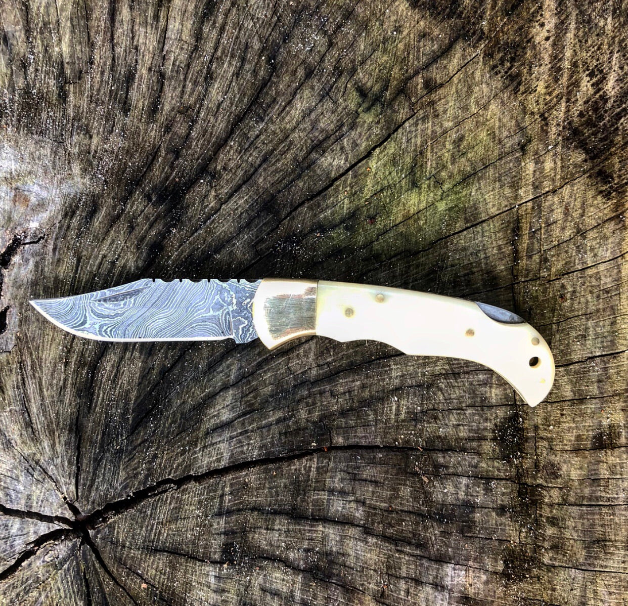 Camel Bone Lockback- VG27